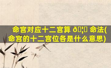 命宫对应十二宫算 🦍 命法(命宫的十二宫位各是什么意思)